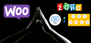touching_hands_zoho_woo